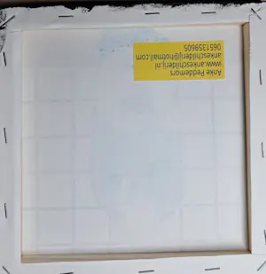 Anke Peddemors - Hallo! kopen? Bied vanaf 28!