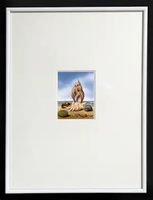 Jaap Luteyn - Schelpen kopen? Bied vanaf 175!