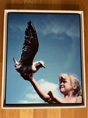 Margriet Smulders - AER-ALLEGORIE VAN DE LUCHT kopen? Bied vanaf 295!