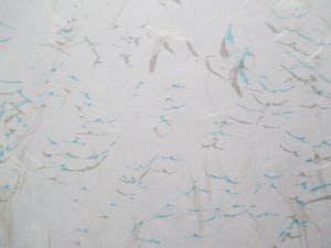 Josephine Sloet - Zeefdruk kopen? Bied vanaf 30!