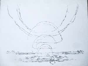 Willem den Ouden - Litho verkocht voor € 60!