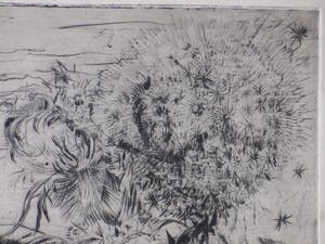 Willy Hagenbeek - Bloemen en planten - Ets kopen? Bied vanaf 1!