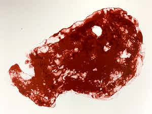 Armando - handgesigneerde KLEURENLITHO - 'Der Kopf' - 1989 verkocht voor € 280!