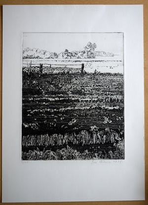 Jose Calsina - Het weiland kopen? Bied vanaf 50!