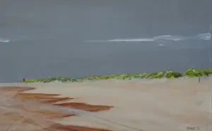 Franklin Meijer - Texel - Strand vuurtoren de Cocksdorp kopen? Bied vanaf 95!