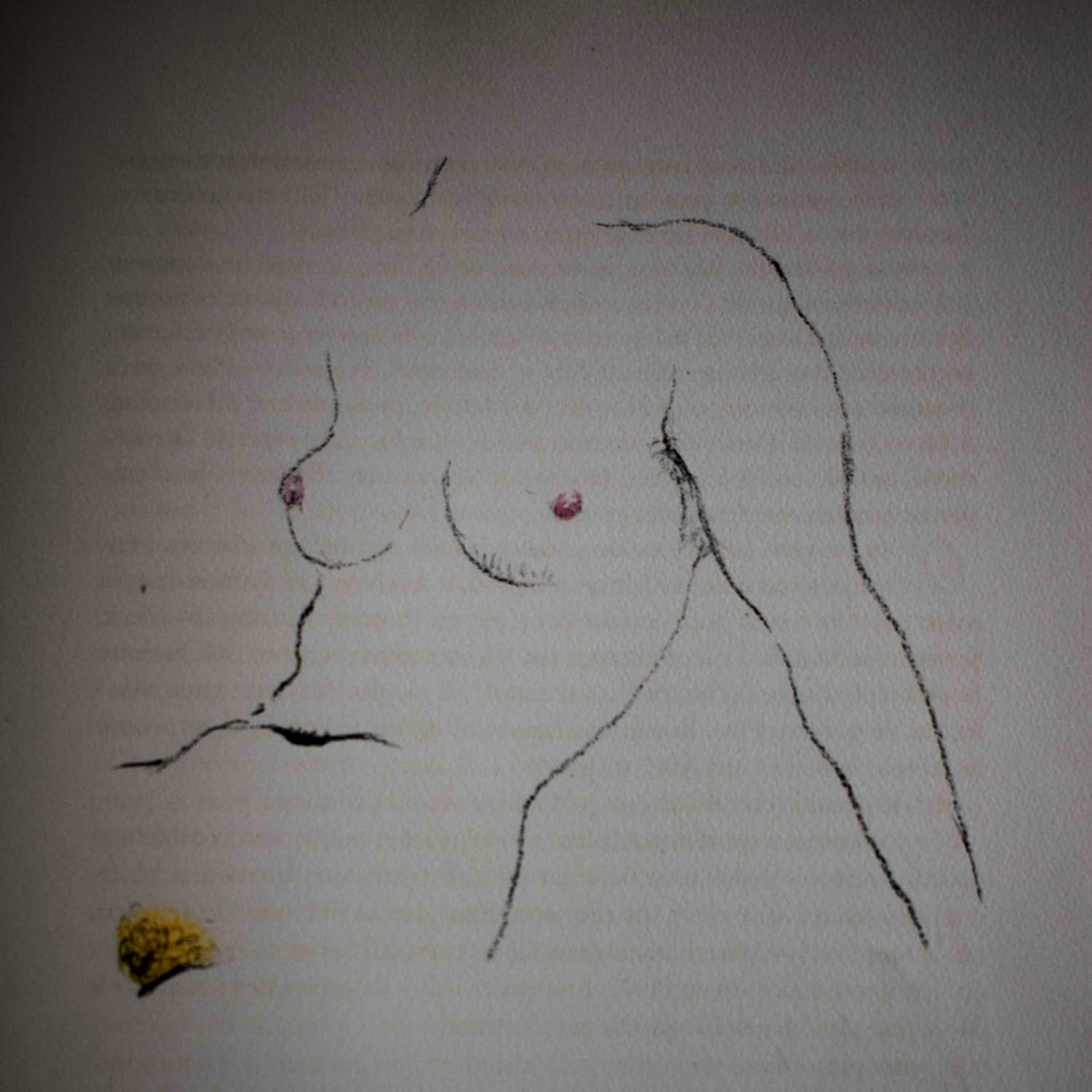 Kees van Dongen - litho - Naaktportret verkocht voor € 250!