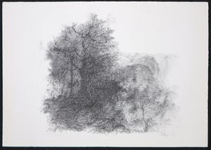 Jaap Kruijff - Litho, z.t. Grote boom kopen? Bied vanaf 1!