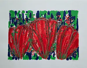 Ad van Hassel - Krokussen - 2000 - 60 ex.- groot kopen? Bied vanaf 60!