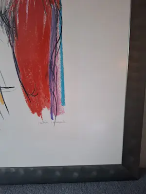 Peter Schenk - Zeefdruk, in mooie lijst, handgesigneerd kopen? Bied vanaf 75!