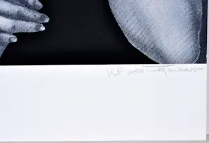 Jef van Tuerenhout - De Spiegel - Zeefdruk - Gesigneerd - 54x42 cm - 1977 kopen? Bied vanaf 90!