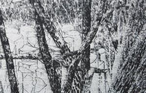 Charles Donker - 4e staat, proefdruk: Struiken en stammen in sneeuwlandschap kopen? Bied vanaf 395!