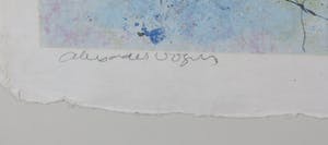 Alexander Vogels - Zeefdruk op geschept papier, Evolutions VIII - Ingelijst kopen? Bied vanaf 35!