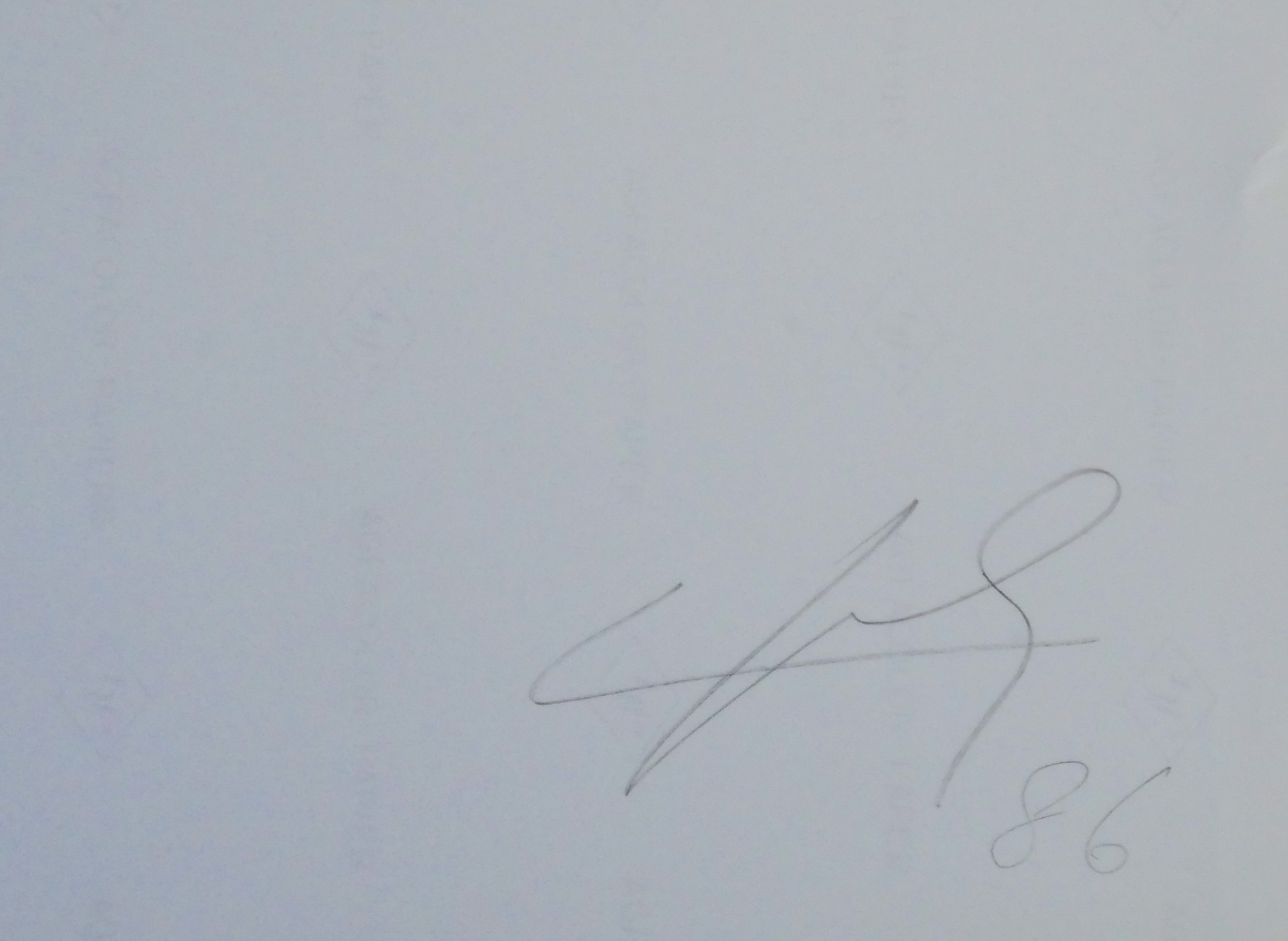 Ludo Geysels - Zonder titel kopen? Bied vanaf 1!