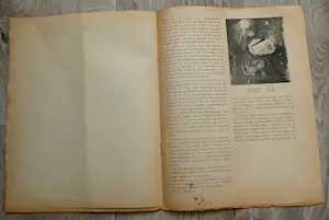 Karel Appel - Reflex, orgaan van de experimentele groep in Holland - No :2 kopen? Bied vanaf 285!