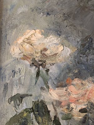 Maddy Rive - Rozen in vaas kopen? Bied vanaf 30!