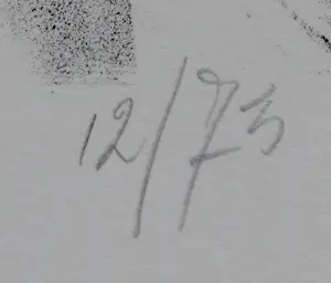 Anton Martineau - Litho - 1998 kopen? Bied vanaf 75!