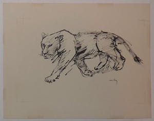 Wim Motz - 4 tekeningen van leeuwen/leeuwinnen kopen? Bied vanaf 50!