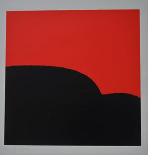 Willy Schmidhamer - Portfolio met 4 zeefdrukken compleet! kopen? Bied vanaf 150!