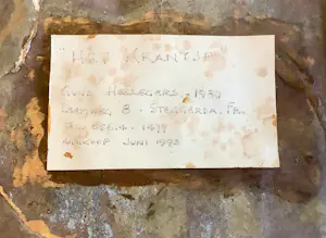 Guus Hellegers - Het krantje kopen? Bied vanaf 950!