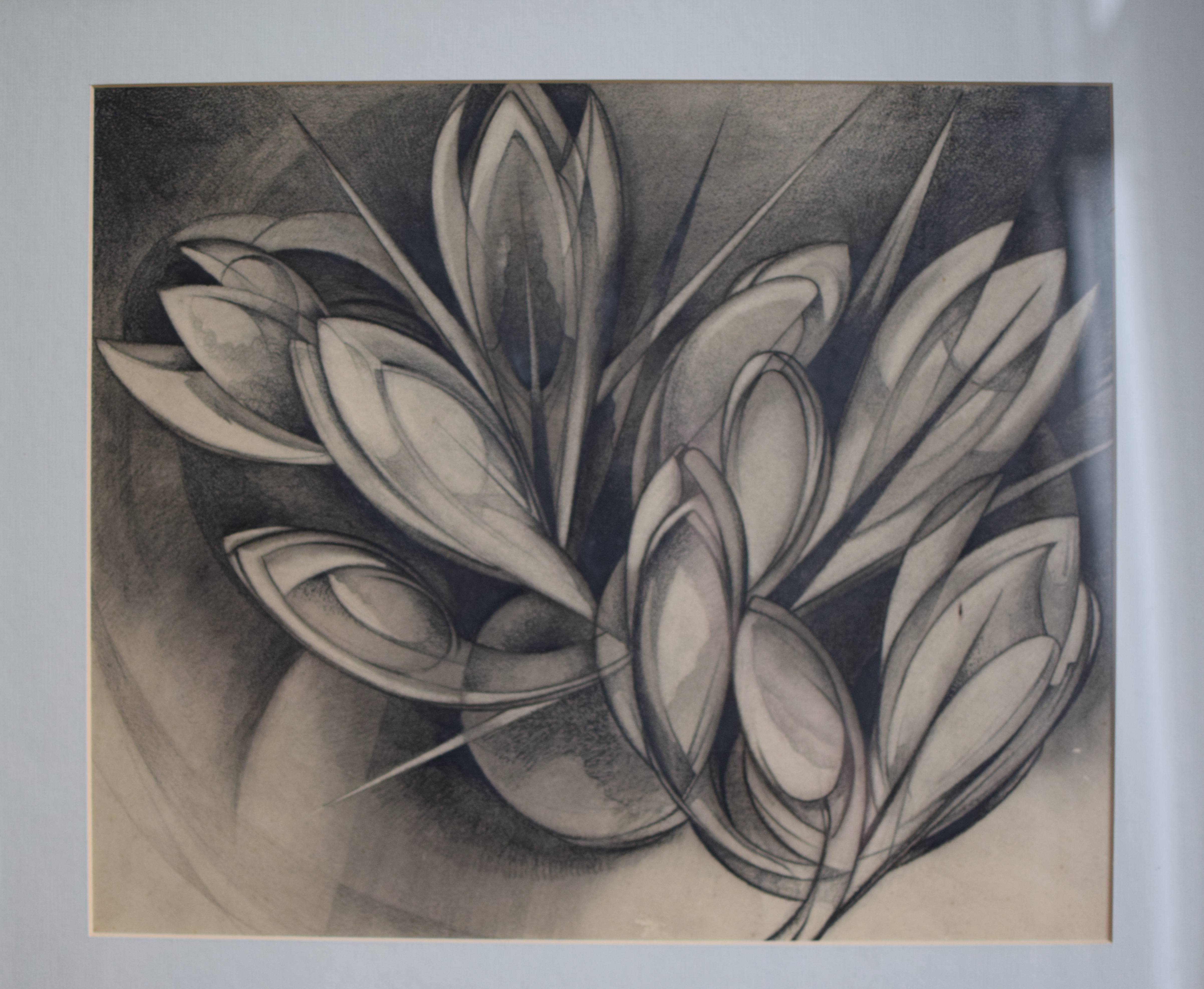 Wim Kersten - Krokussen kopen? Bied vanaf 25!