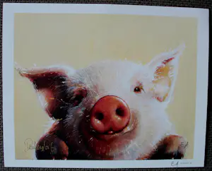 Peter Donkersloot - Offset litho: Varken kopen? Bied vanaf 59!