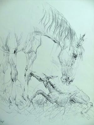 Piet Klaasse - twee litho's/potlood van paard en nieuw leven met ophangsysteem kopen? Bied vanaf 49!