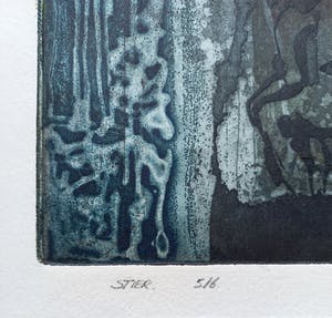 Henk Vierveijzer - Stier, aquatint ets (zeer kleine oplage) kopen? Bied vanaf 50!
