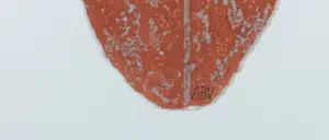 Alain Berck Vitz - Carborundum op geschept papier, Blue line - Ingelijst kopen? Bied vanaf 50!