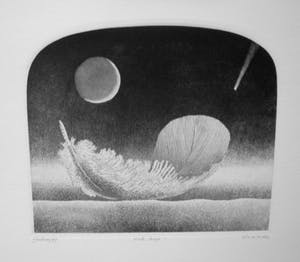 Gerard van Rooy - "Hale Bopp' of "Komeet" kopen? Bied vanaf 25!