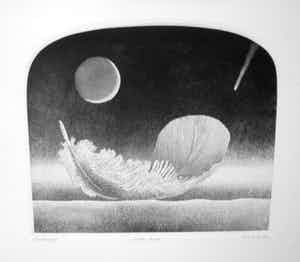 Gerard van Rooy - "Hale Bopp' of "Komeet" verkocht voor € 25!