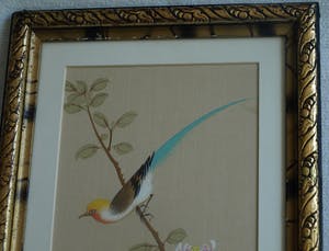 Niet of onleesbaar gesigneerd - Ingelijste gouache op zijde, Japan? China? , Vogel op bloemtak kopen? Bied vanaf 1!