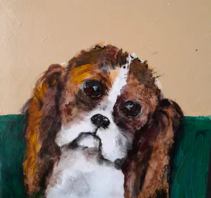Anke Peddemors - Cavalier King Charles spaniel kopen? Bied vanaf 19!
