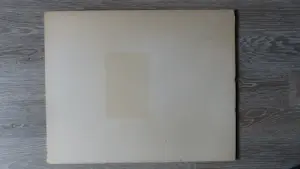 Vincent van Gogh - Acht tekeningen van Vincent van Gogh kopen? Bied vanaf 95!