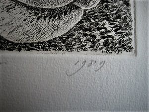 Han van Hagen - Ambachtelijk Graficus - Kleine oplage Ets - Zwartbles schaap - potloodgesigneerd kopen? Bied vanaf 30!