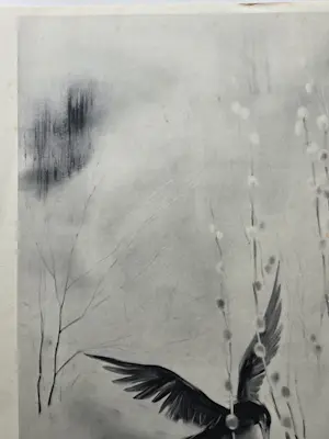 Han van Meegeren - Aalscholver. Zwarte vogel. kopen? Bied vanaf 59!