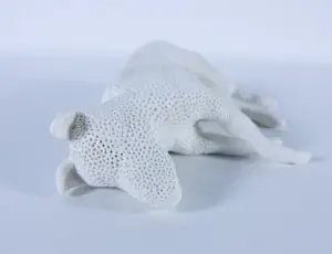 Kathja Smits - Porselein, Hond liggend kopen? Bied vanaf 125!