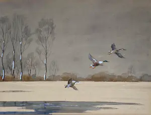 Jo Schrijnder - aquarel - opvliegende eenden in een winterlandschap - gesigneerd kopen? Bied vanaf 55!