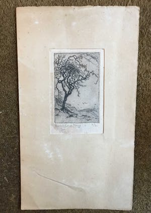 Ruurd van den Berg - C4201 - boom in duinlandschap kopen? Bied vanaf 50!