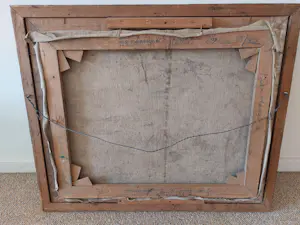 Dirk Landsman - Dode duif kopen? Bied vanaf 50!