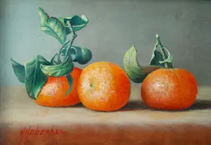 Hans Habraken - Mandarijnen kopen? Bied vanaf 179!