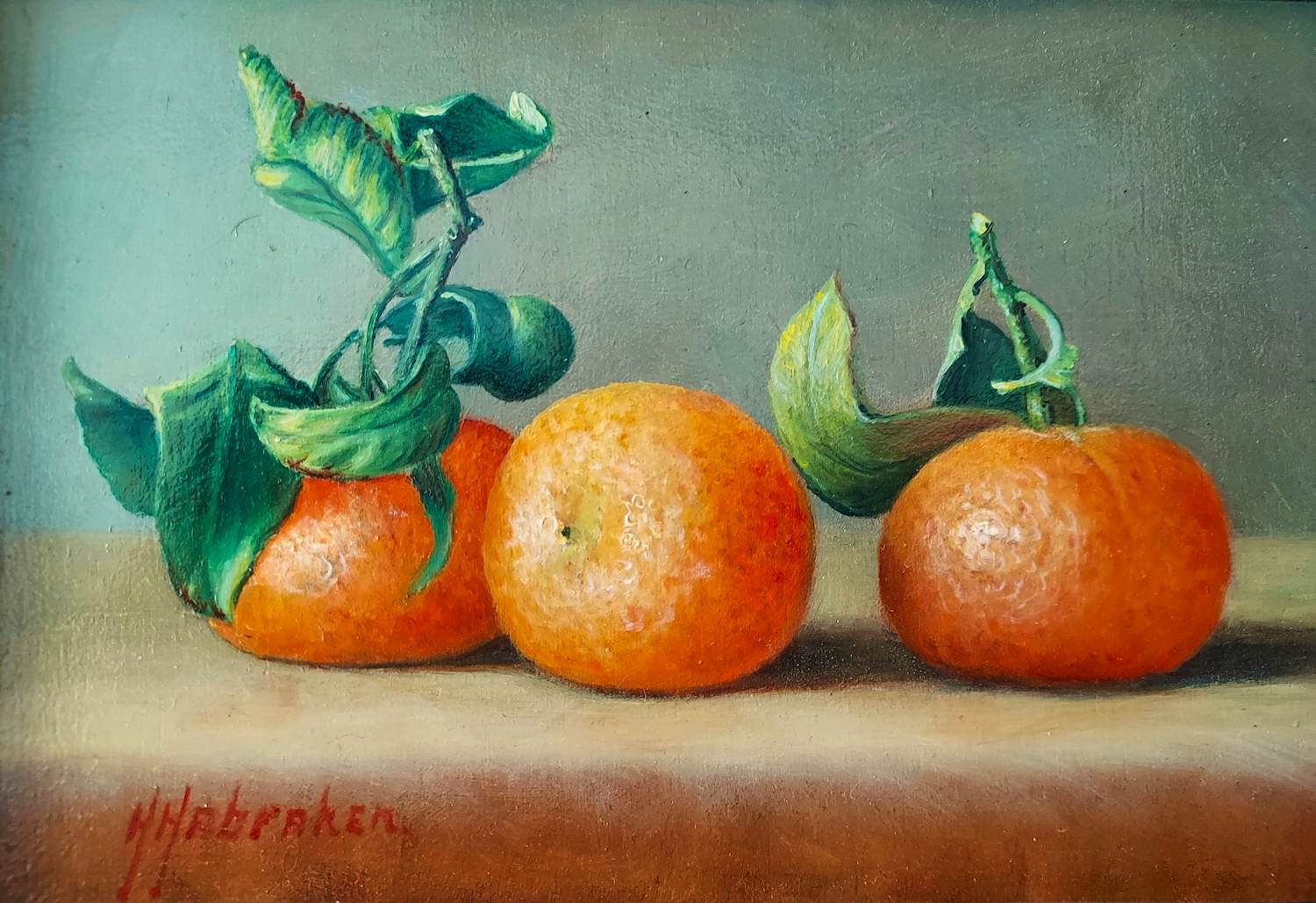 Hans Habraken - Mandarijnen kopen? Bied vanaf 179!