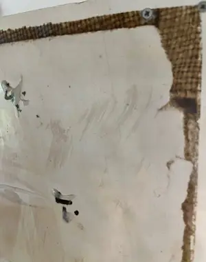 Ossip - Vrouw kopen? Bied vanaf 500!