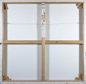 Martin R. Baeyens - Acryl op doek, Regeneration XII kopen? Bied vanaf 250!