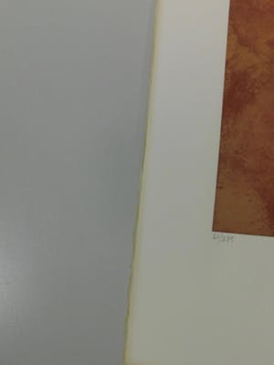 Leonor Fini - Visage d'une Jeune Fille kopen? Bied vanaf 35!