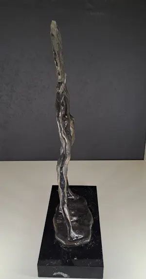 Corry Ammerlaan - LOOK FOR THE SUN-THE SUN SHINES kopen? Bied vanaf 100!