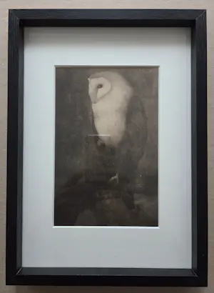 Jan Mankes - Uil op boomtak. Werk uit 1913. kopen? Bied vanaf 99!