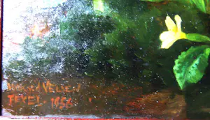 Ad Blok van der Velden - Stengelloze sleutelbloemen Texel kopen? Bied vanaf 300!