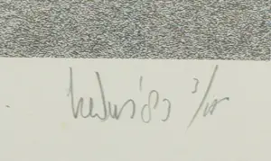 Sjouke Heins - Zeefdruk, Van het voorbijgaan - Ingelijst kopen? Bied vanaf 60!