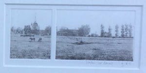 Wim van der Meij - C2465-4 - Landschap met stier kopen? Bied vanaf 25!