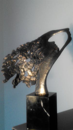 Bernadette Leijdekkers - Vrouw die naar de toekomst kijkt kopen? Bied vanaf 59!